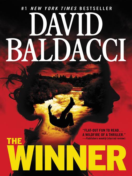 Title details for The Winner by David Baldacci - Wait list